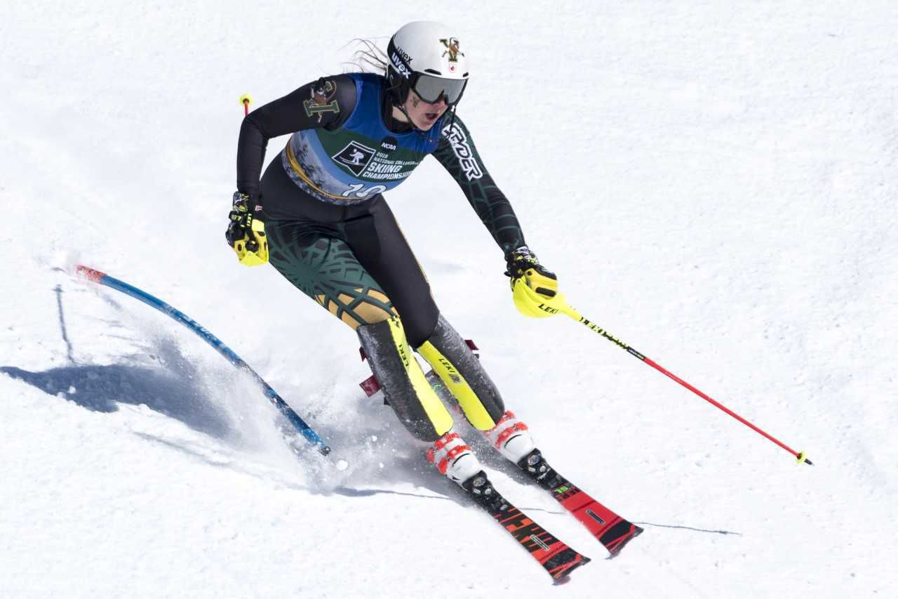 ski